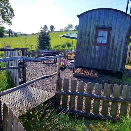 Eco Accommodation Cornflower Holiday Craven Arms Exterior foto