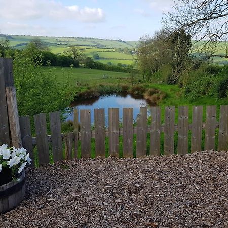 Eco Accommodation Cornflower Holiday Craven Arms Exterior foto